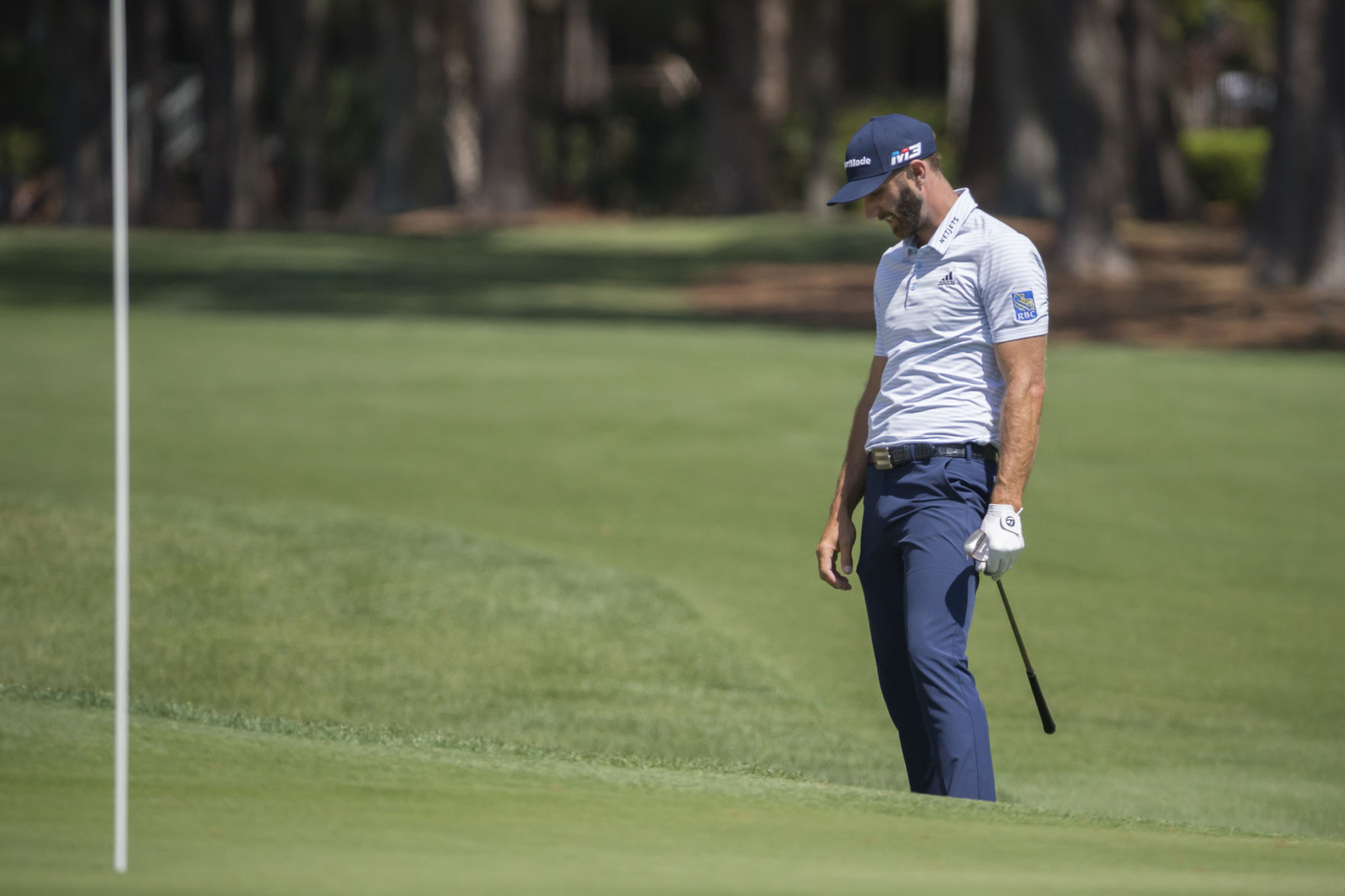 RBC Heritage Golf